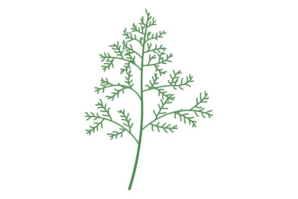 Decorative Language Leaf Illustration Graphics
