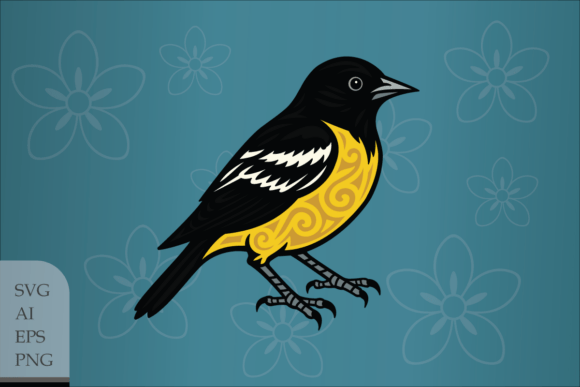 Decorative Scott s Oriole Graphics