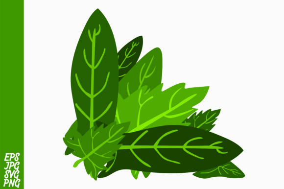 Leaf Decorative: Graphics & Illustrations