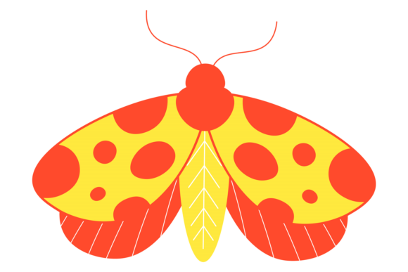 Summer Moth Graphics for Local Business Branding