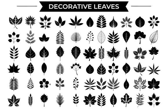 SVG Decorative Leaves Collection: Graphics for Freebies